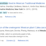 7-Vysledek-hledani-mexicke-byliny