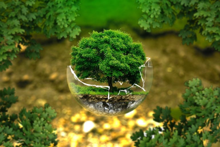 GreenFILE: Jak zachránit svět od ekologické katastrofy
